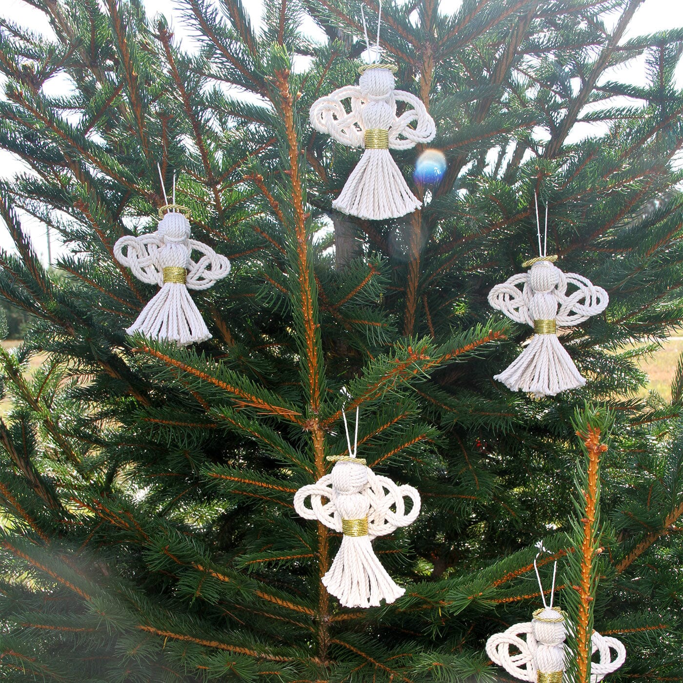 Bells Are Ringing, There's An Angel In The House