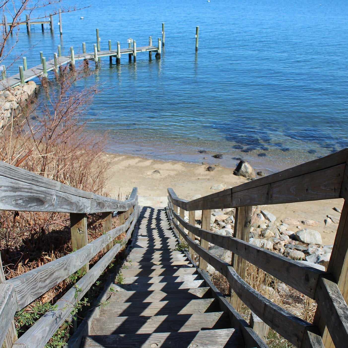 2020 From Mystic Connecticut, what do you say