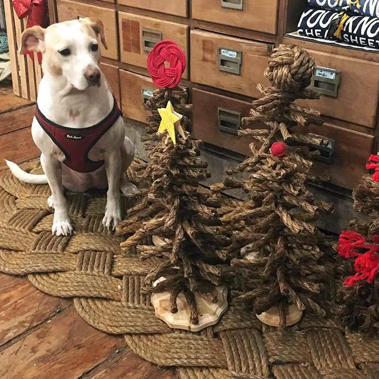 Rope Christmas Tree - Easiest Holiday Tutorial EVER