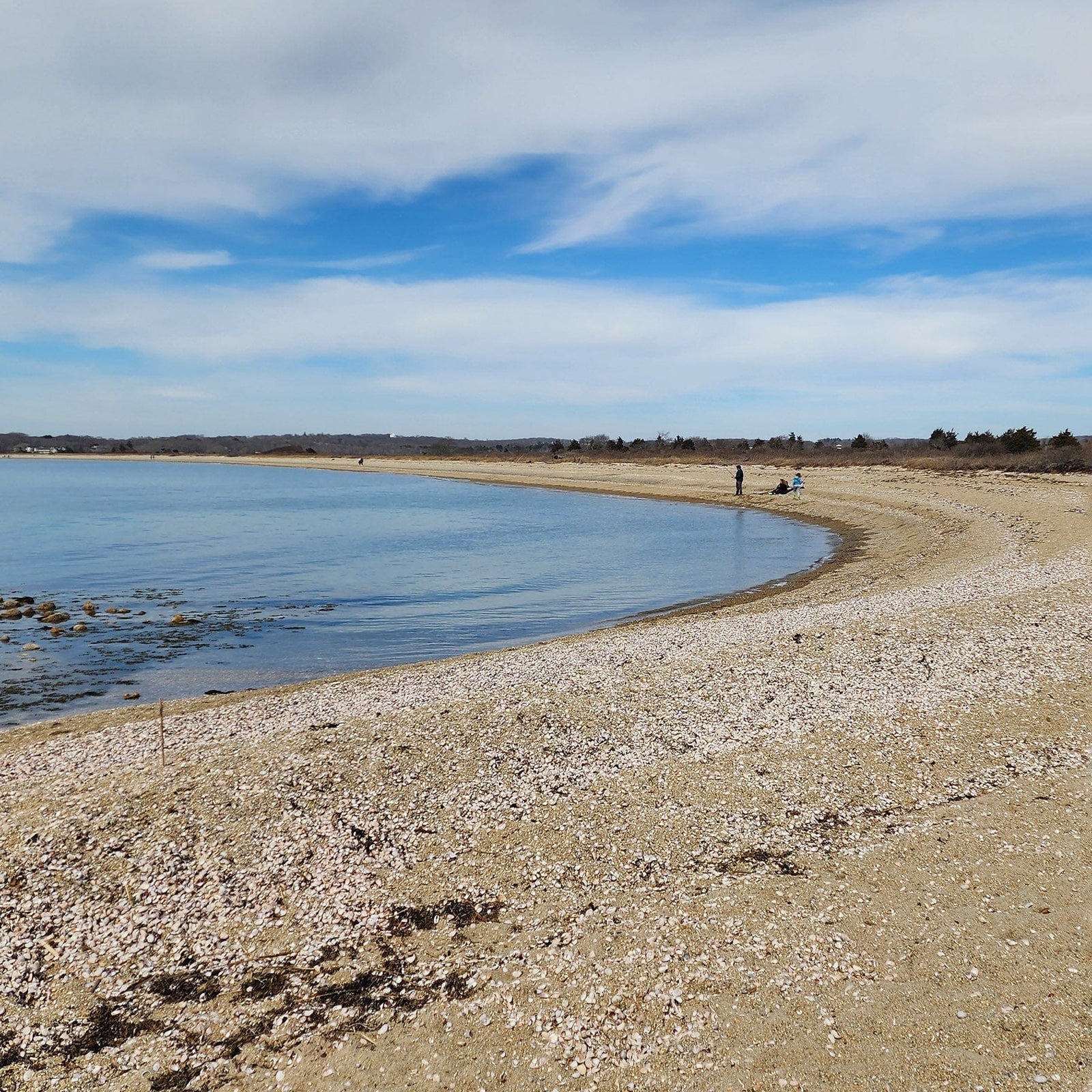 Spring Hike Bluff Point State Park