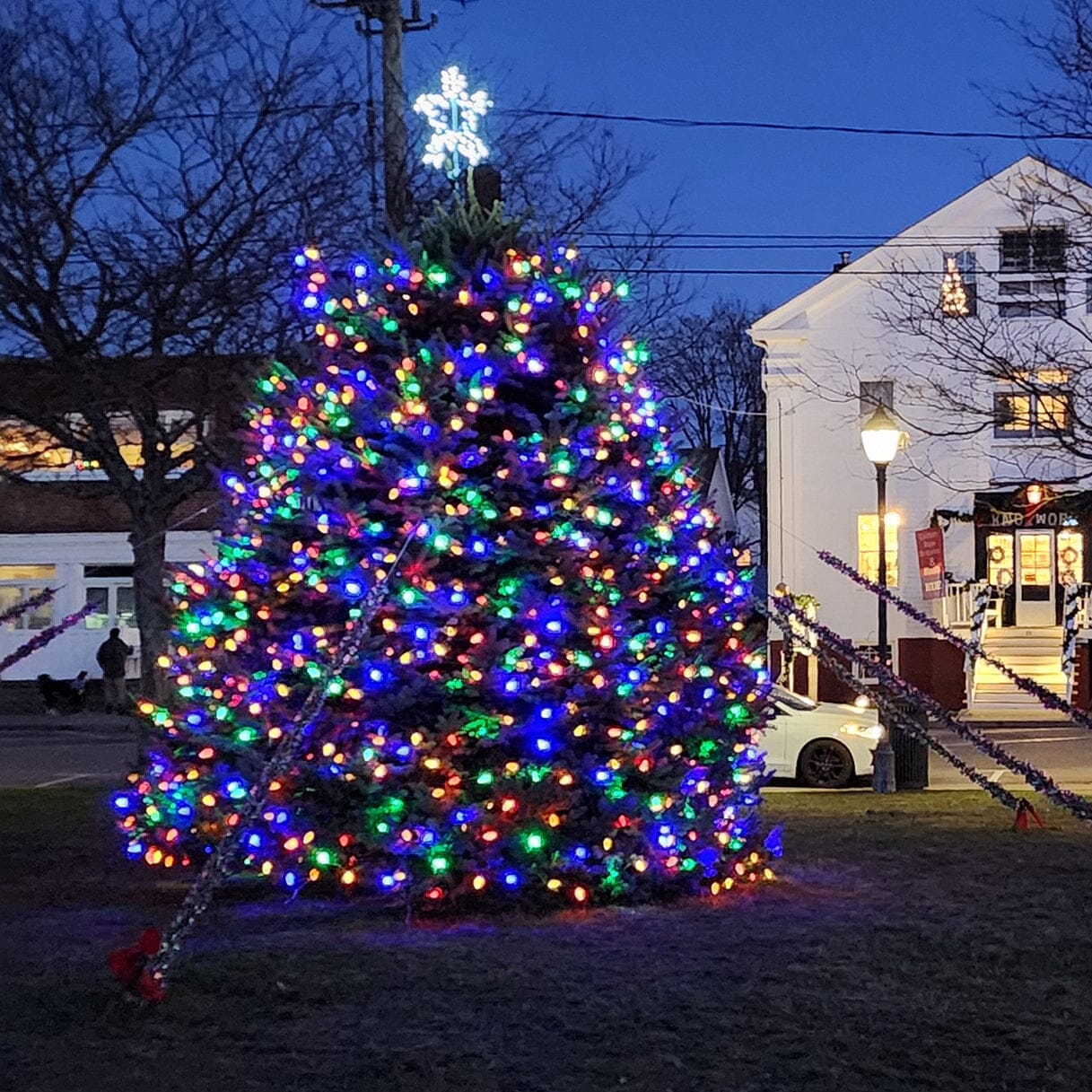 Tis The Season and Holiday Knots