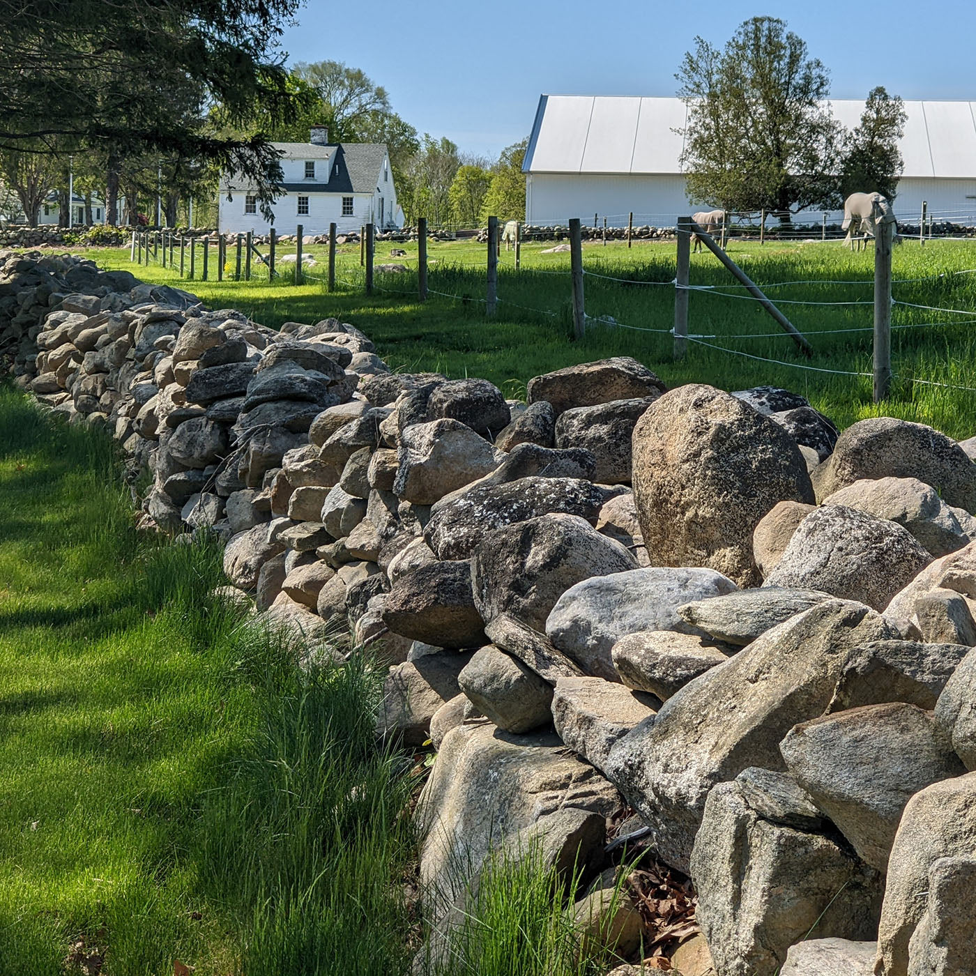 A Visit to Deans Mill Farm and the Dragonfly Equestrian Center