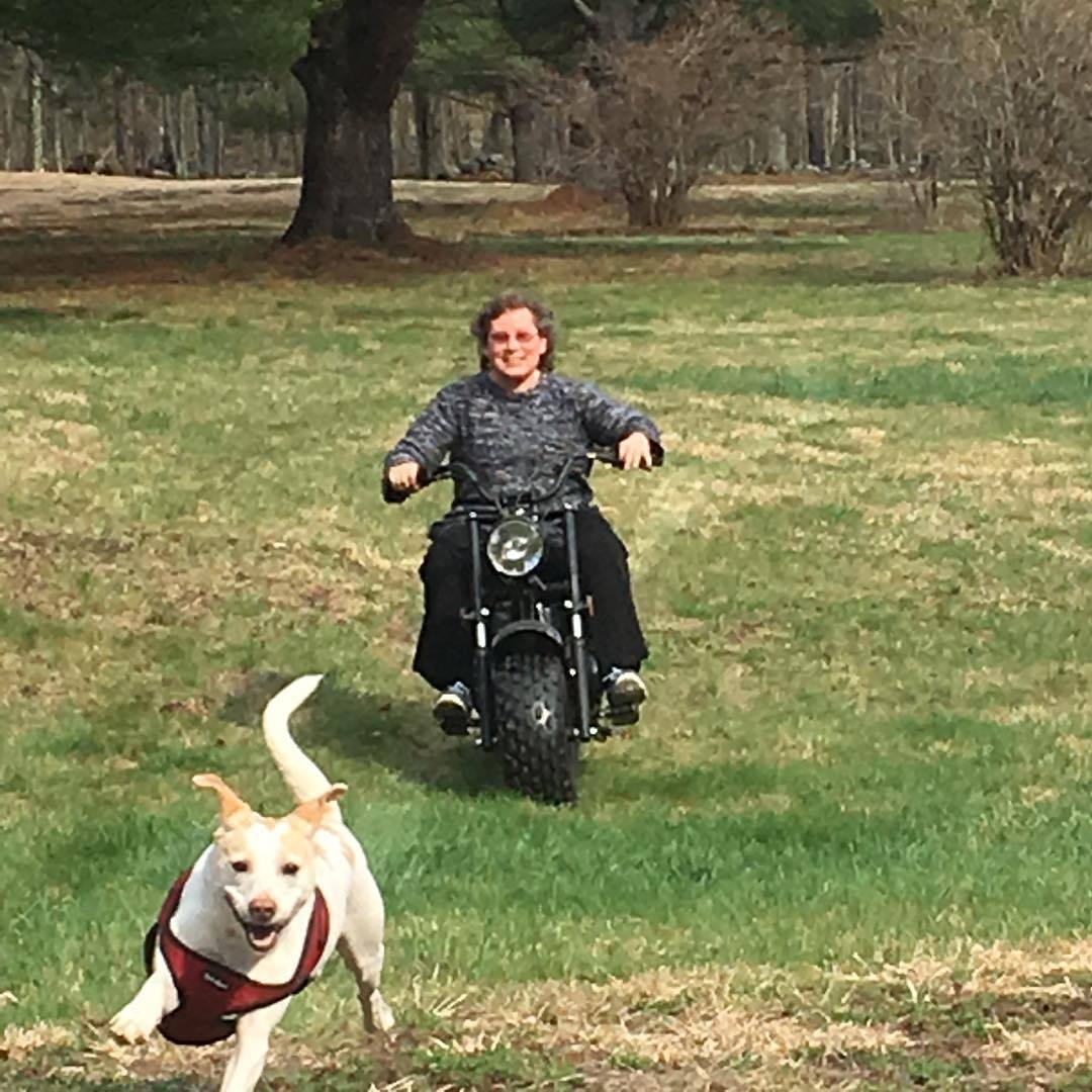 2017 - The Wild Ride!