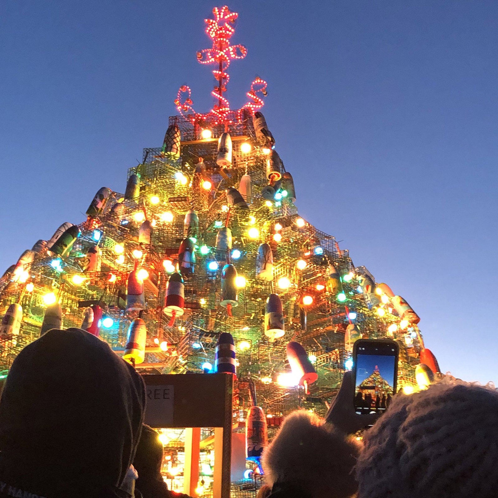 Lobster Pot Buoy Tree In Nearby Stonington