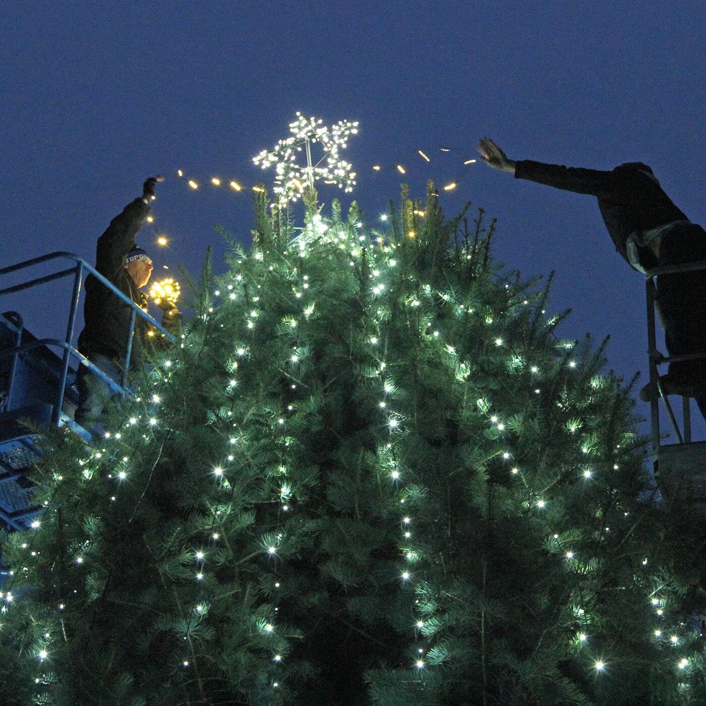 Mystic's Holiday Tree Raising