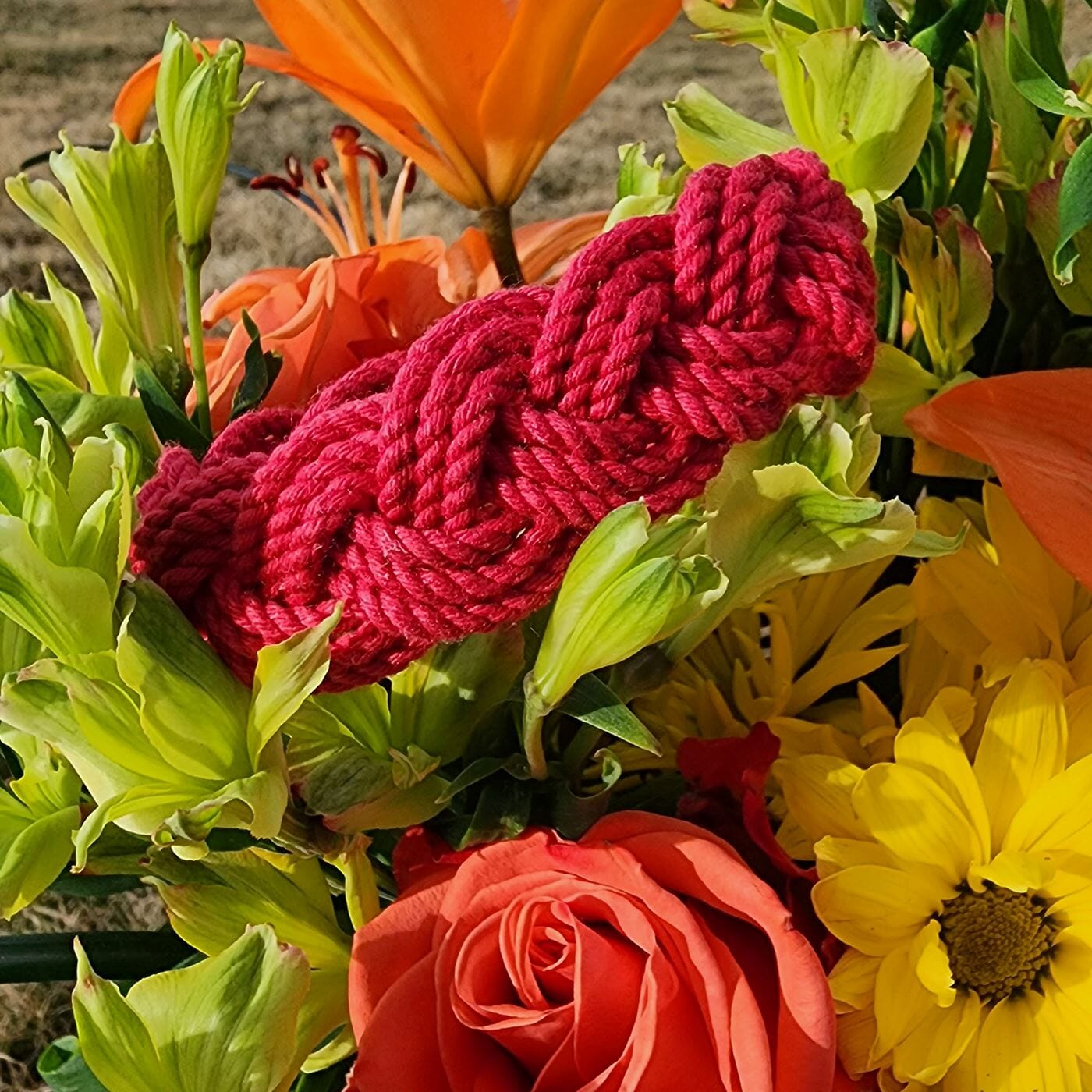 Knotty Valentine's