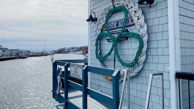 March 2023 - Shamrocks and Dragonflies