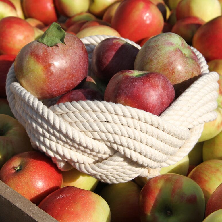 Apples and Pumpkins and Knots Oh My