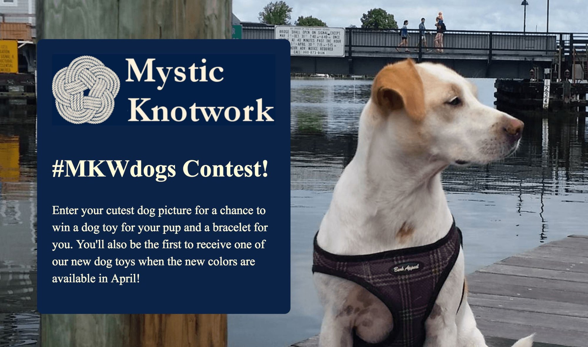 Announcing the Mystic Knotwork Cute Dog Contest!