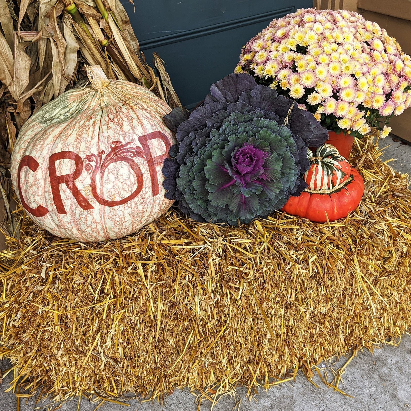 Colorful Fall Stroll And Pumpkin Hunt Through Mystic