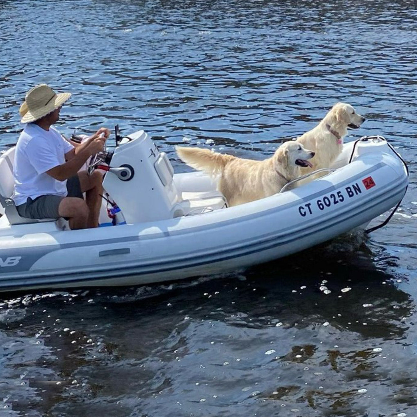 Dogs & Boats & Mystic