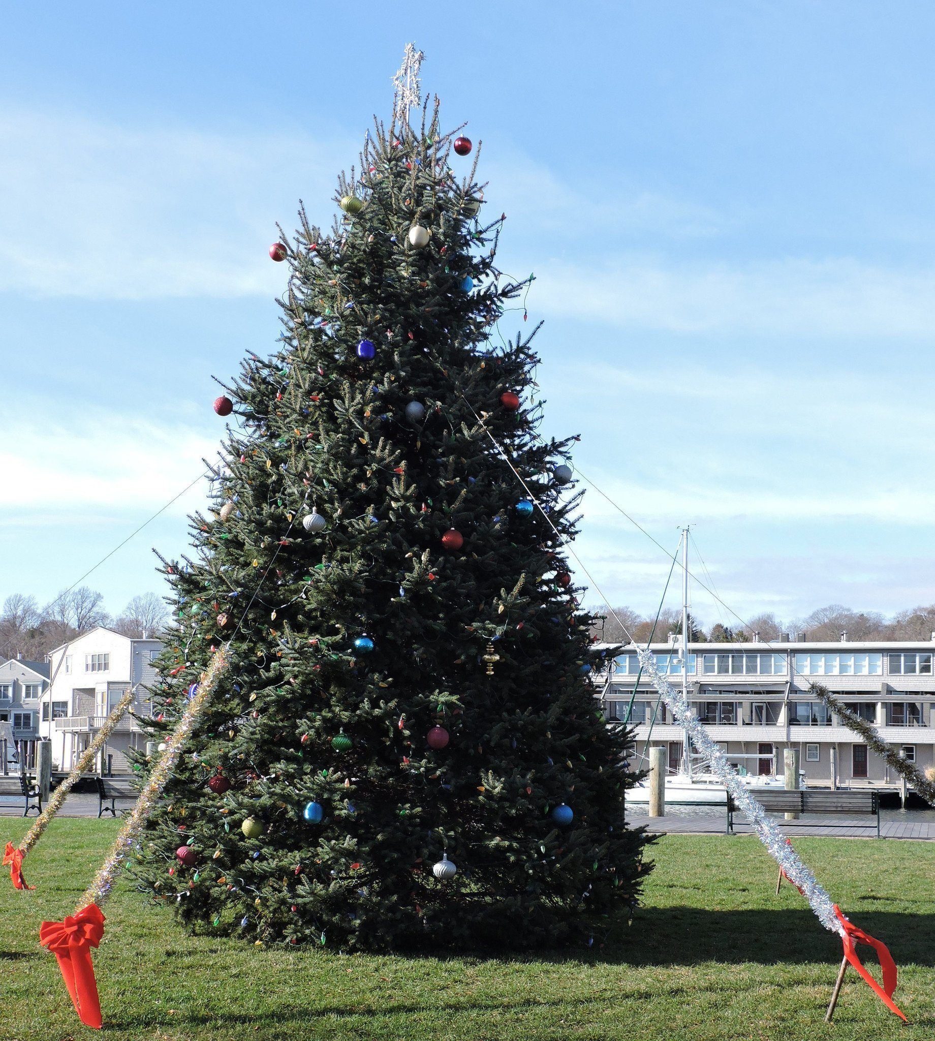 The Holidays in Mystic