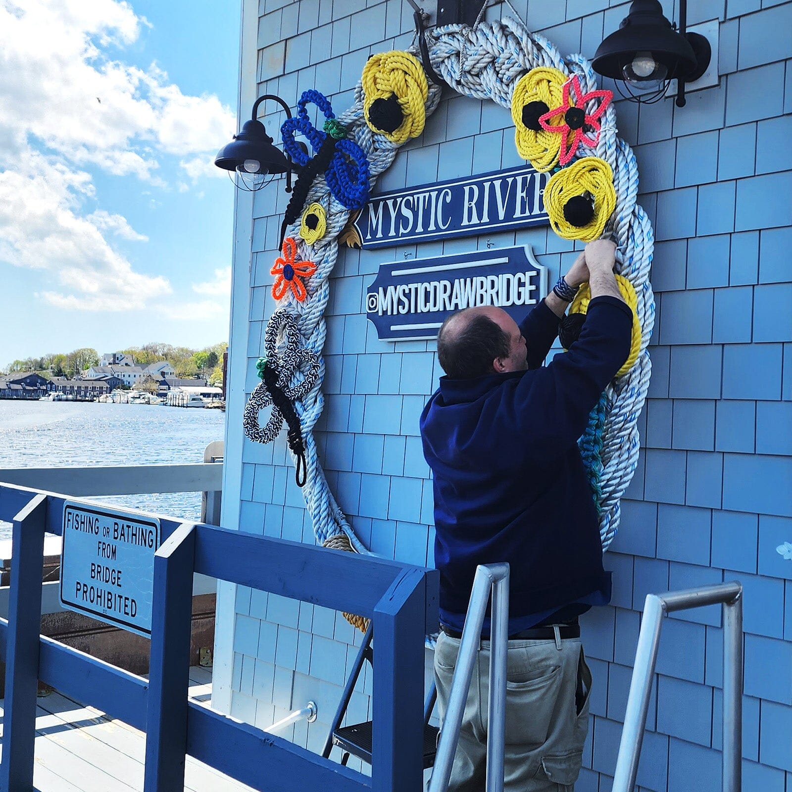 The Dragonflies Of Mystic Knotwork