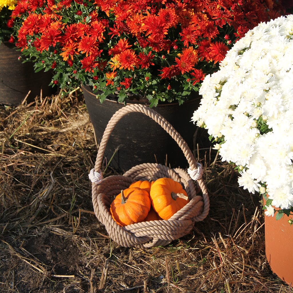 Celtic Knotted Tan Basket home decoration Mystic Knotwork 