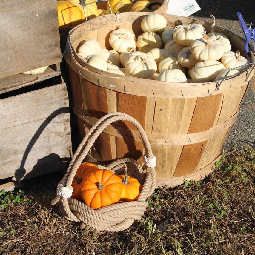 Celtic Knotted Tan Basket home decoration Mystic Knotwork 