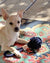 Small Monkey Fist Rope Dog Toy pet toy Mysticknotwork.com 