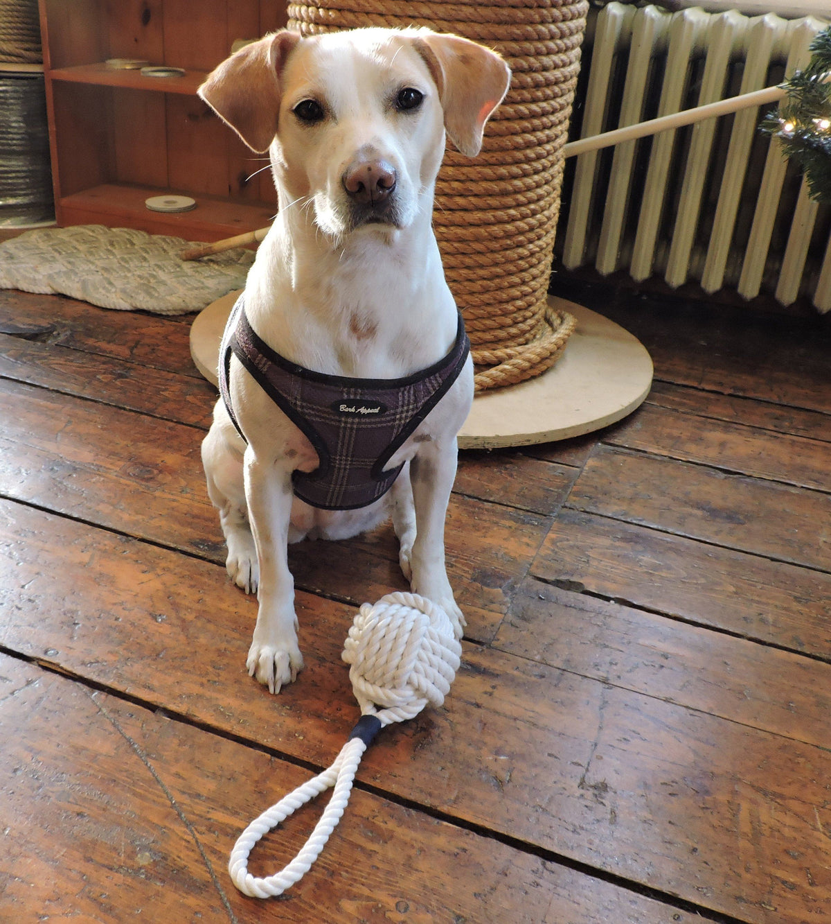 Monkey Fist Rope Dog Toy pet toy Mysticknotwork.com 