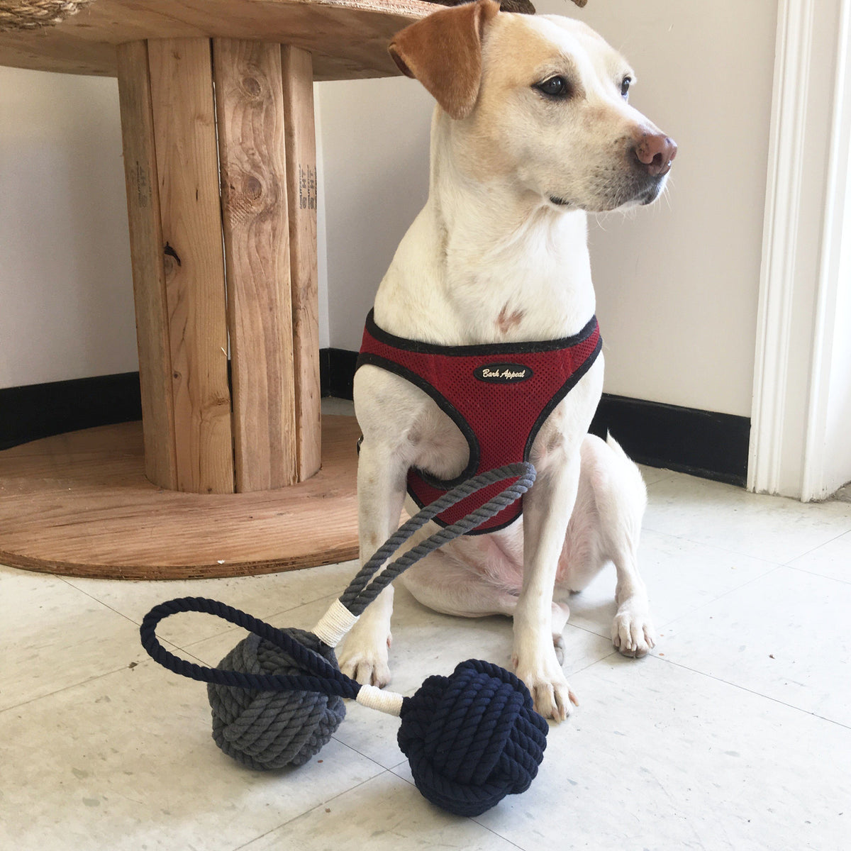 Nautical Knot Monkey Fist Rope Dog Toy - New Colors - Gray and Navy Blue handmade at Mystic Knotwork