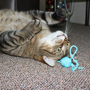 Monkey Fist Rope Cat Toy Mystic Knotwork 