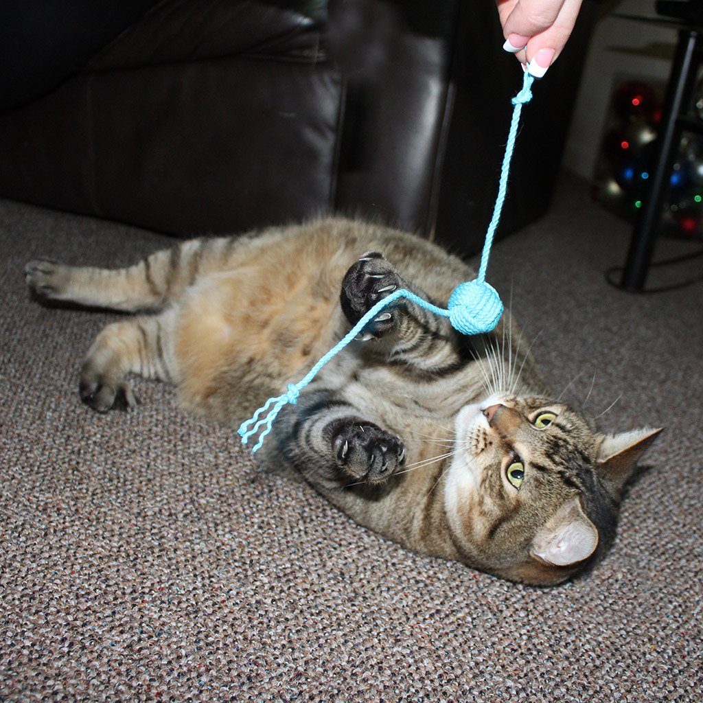 Monkey Fist Rope Cat Toy Mystic Knotwork Turquoise 