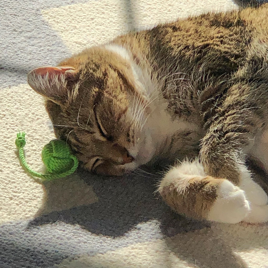 Monkey Fist Rope Cat Toy Mystic Knotwork 