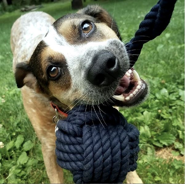 Large Monkey Fist Rope Dog Toy pet toy Mysticknotwork.com 