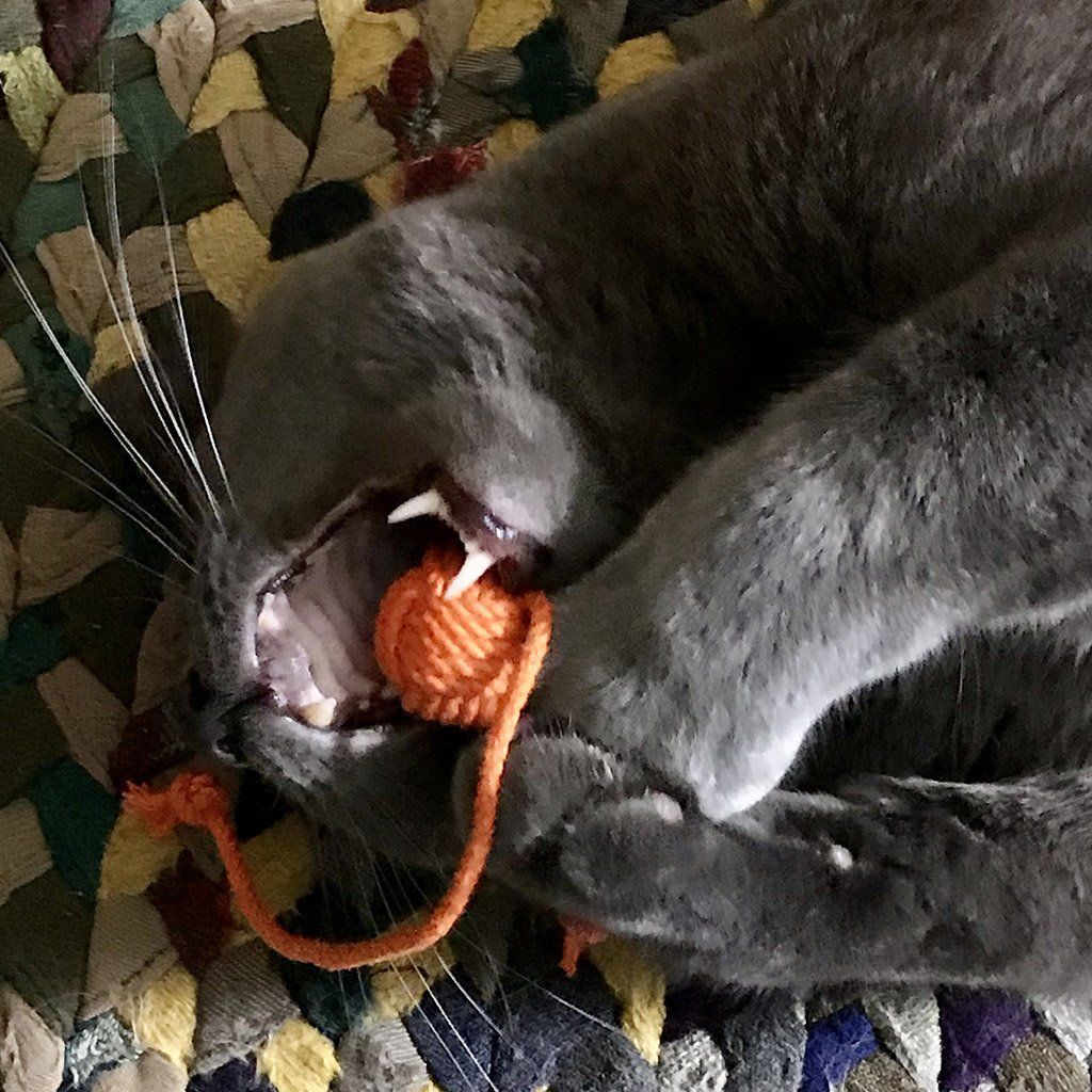 Monkey Fist Rope Cat Toy Mystic Knotwork 
