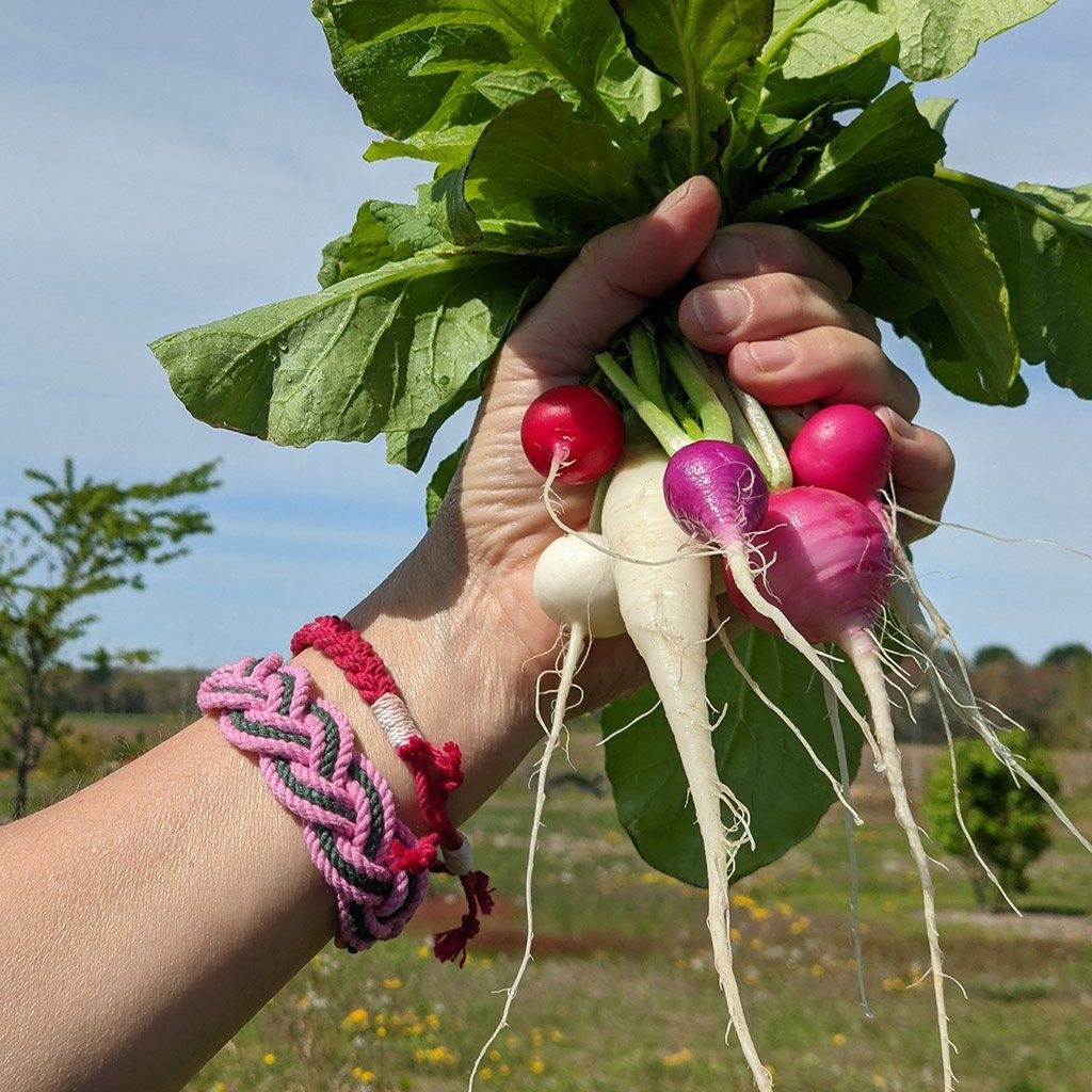 Striped Sailor Bracelet, Custom Colors - Choose Your Own bracelet Mysticknotwork.com 
