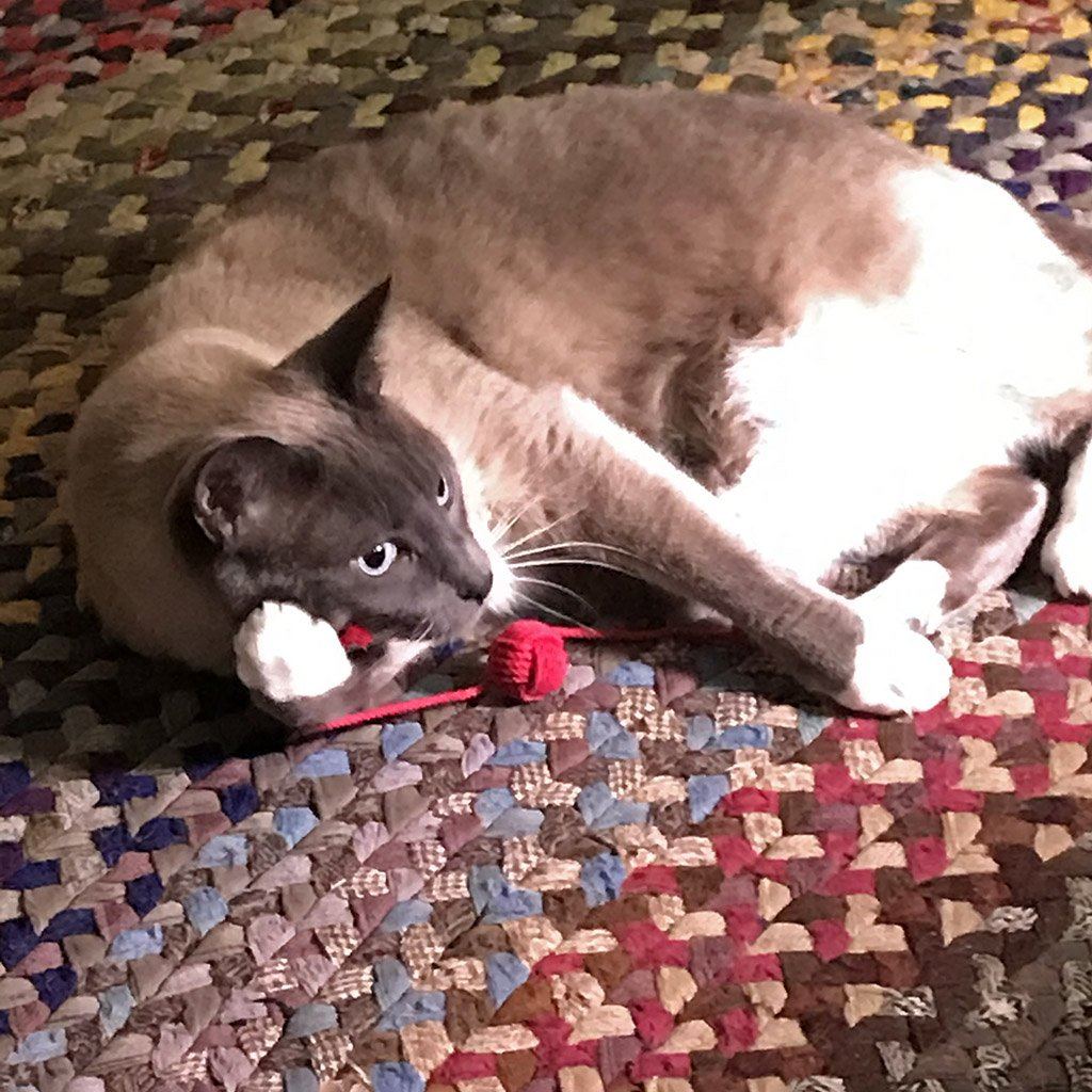 Monkey Fist Rope Cat Toy Mystic Knotwork 