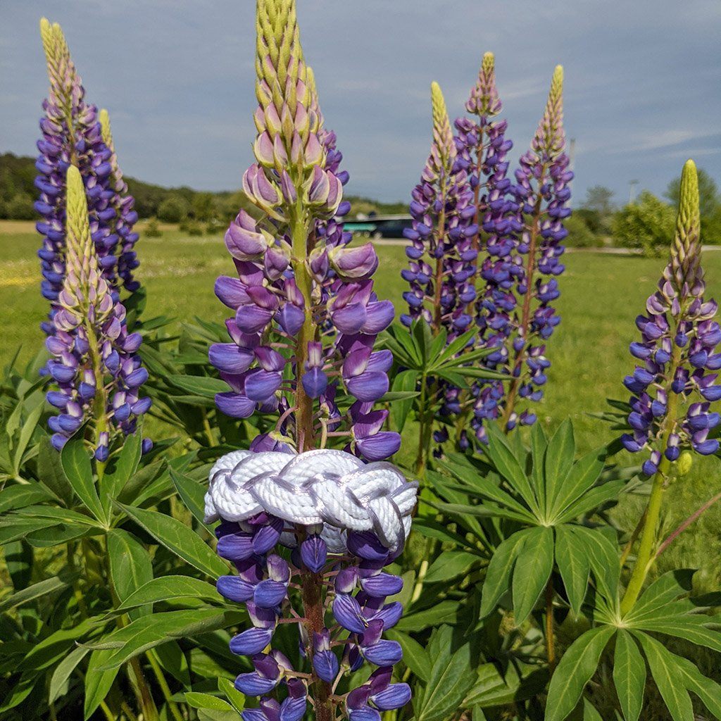 Orchid Sailor Bracelet Satin Outline bracelet Mystic Knotwork 